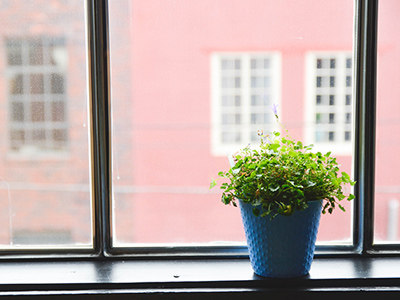 快速调试程序的免费轰炸网页版